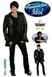 American Idol Adam Lambert 3x2-Foot Wall Graphic American Idol Adam Lambert 3x2-Foot Wall Graphic