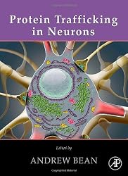 Protein Trafficking in Neurons