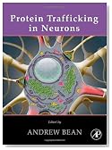 Protein Trafficking in Neurons