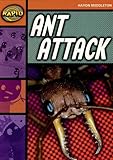 Ant attack