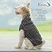 Seamless Knits for Posh Pups