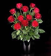 Autograph&trade; Ecuadorian Dozen Red Roses