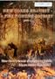 New York's Bravest A Fire Fighting Odyssey Part 1