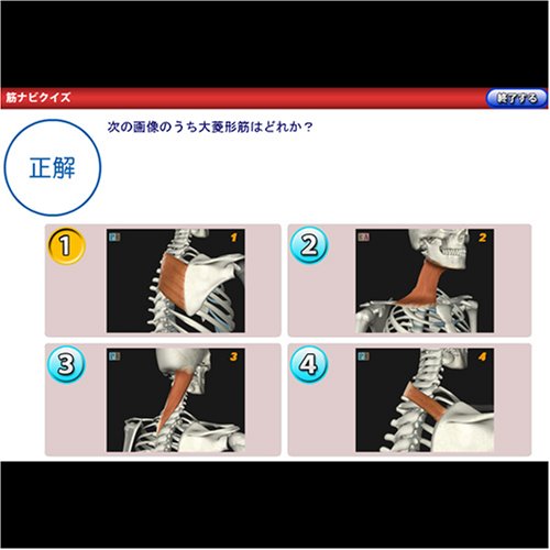 Cover image : CGで見る筋肉図典 筋ナビ1.0 資格試験対策用クイズ付