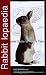 Rabbitlopaedia: A Complete Guide to Rabbit Care (Complete Guide To... (Ringpress Books))