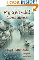 My Splendid Concubine