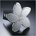 All Sales 1021 Hula-Meria Hitch Cover