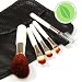 6pc Travel Size Mini Minerals Makeup Bare Brush Set Under $5.00 !