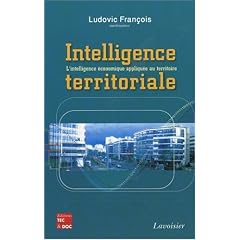 Intelligence territoriale : L'intelligence économique appliquée au territoire
