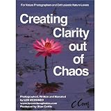 Creating Clarity Out of Chaos