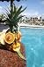 Pineapple Man - 24