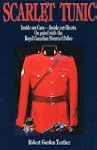 Scarlet Tunic: Inside our Cars - Insi...