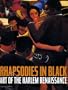 Rhapsodies in Black: Art of the Harlem Renaissance