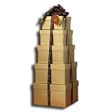 Tower of Joy