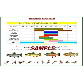Eagle River Fishing Guide Book - Colorado by 