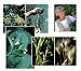 Nature's Medicine Chest 4x6 Plant ID Card Series