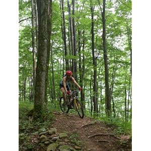 A Woman Rides a Mountain Bike on Props Run, a Single Track Trail Photographic Poster Print