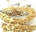 Meyer Imports Crushed Glass Glitter for Arts and Crafts | Broken Glass Gold Fusion German Glitter for Resin Craft Art/Tumblers/Nail Art/DIY Jewellery Making Decoration - 1 oz