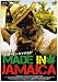 ���C�h�E�C���E�W���}�C�J [DVD]