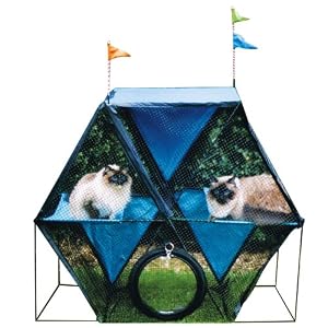 Review Kittywalk Ferris Wheel Cat Enclosures Cheap