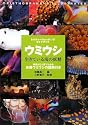 ウミウシ―生きている海の妖精 (ネイチャーウォッチングガイドブック)
