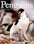Penguins