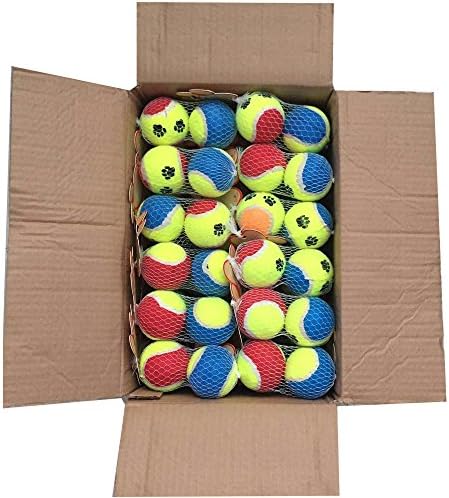 Funny Tennis Ball Throwing with Machines &amp; Playing With Pets