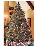 14' Full Douglas Fir Pre-Lit Artificial Christmas Tree 2400 Multi Lights