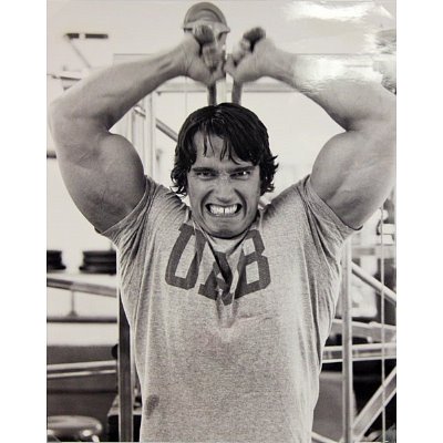 arnold schwarzenegger bodybuilding diet. Arnold Schwarzenegger Working