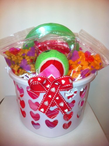Dog Valentine's Day Gift Basket