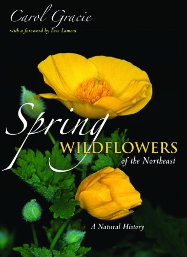Spring Wildflowers of the Northeast: A Natural History