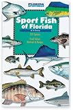 Florida Sportsman Sport Fish of Florida Book