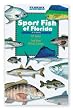 Sport Fish of Florida
