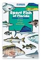 Sport Fish of Florida