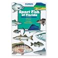 Buy Sport Fish of Florida by Vic Dunaway