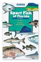 Sport Fish of Florida