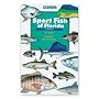 Sport Fish of Florida