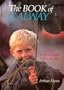 The Book of Galway: City, Towns and Villages