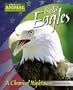 Bald Eagles: A Chemical Nightmare (America's Animal Comebacks)