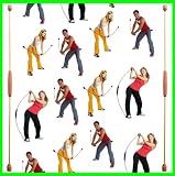 > inSPORTline FLEXIBLE FITNESS EXERCISE BAR SWING STICK RED