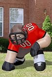 Tampa Bay Buccaneers Bubba Inflatable Lawn Figurine