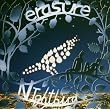 Nightbird