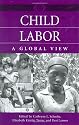 Child Labor: A Global View (A World View of Social Issues)