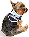 I See Spot It's My Birthday Small Pet Bandana Scarf in Navy