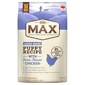 NUTRO MAX Large Breed Puppy Recipe With Farm Raised Chicken Dry Dog Food 25 Pounds