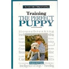 A New Owner's Guide to Training the Perfect Puppy (JG Dog)