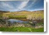 Spring Color Canvas Print / Canvas Art - Artist Lee Chon