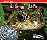 A frog's life