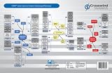 CBAP Exam Success Series: Mindmaps Placemat (for Version 2.0 BABOK Guide)