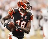 A.J. GREEN CINCINNATI BENGALS 8X10 HIGH GLOSSY SPORTS ACTION PHOTO (P)